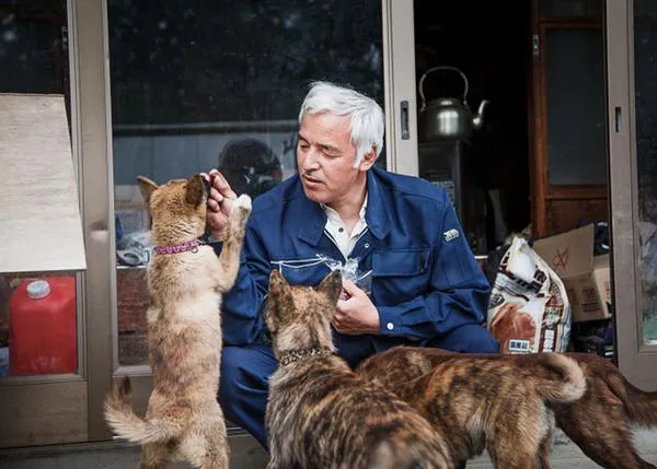 El guardian de los animales de Fukushima: un superhéroe de carne y hueso