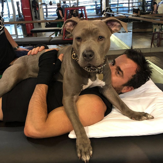 Kuma, la guapérrima perra de Justin Theroux, estrena instagram y …