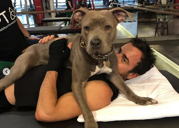 Kuma, la guapérrima perra de Justin Theroux, estrena instagram y en un día ya tiene 50.000 seguidores :-)