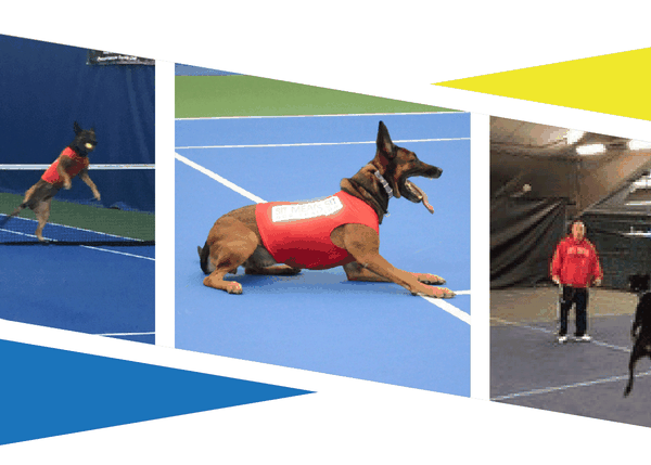 El tenis más guau: para ayudar a personas con estrés postraumático junto a sus perros de asistencia