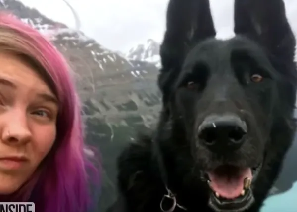 El perro de asistencia de una montañera la mantiene a salvo tras sufrir una grave caída