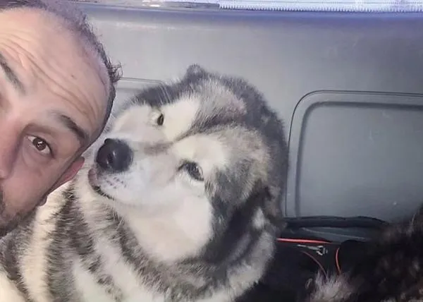 Rescatan a dos Malamutes que habían vivido ocho años en una 