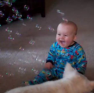 Juguete express para canes felices: las pompas de jabón y …