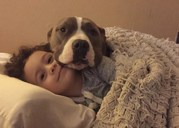 Besos y más besos perrunos: una Pit Bull y su inseparable y adorado pequeño humano