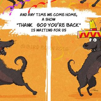 Un genial cómic relata cómo un perro cambia al ser …