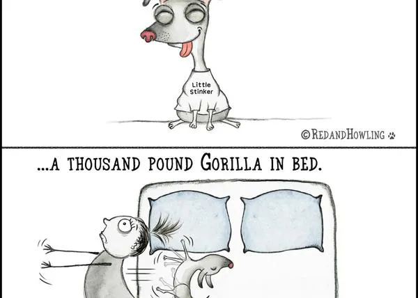 Algunas razones por las que la vida sin perro es más triste, vistas por una ilustradora de lo más GUAU