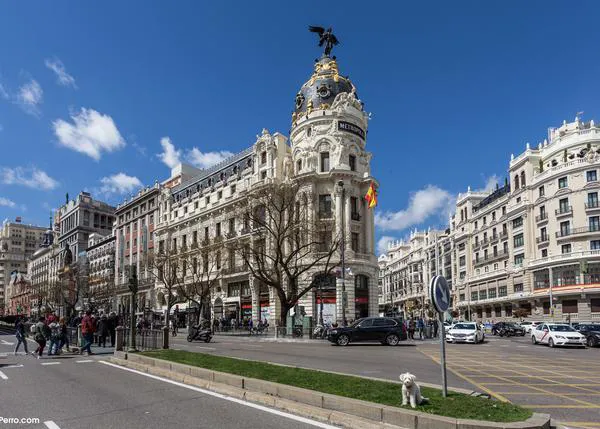 Ordenanzas Municipales de Tenencia de Animales: la 