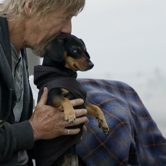 El veterinario solidario, una década echando una pata a las …