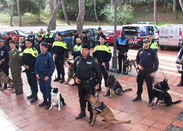 En Vila-real, los perros policía también van a aprender a detectar el cáncer