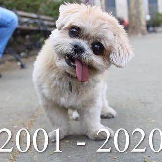 La despedida de Marnie, gran impulsora de las adopciones de …