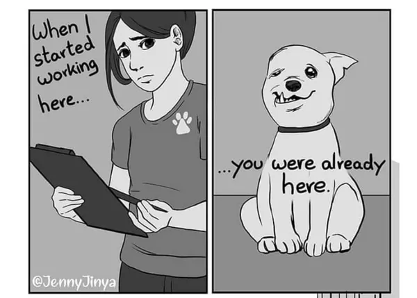 Una fabulosa viñeta rinde homenaje a la labor de los voluntarios en las protectoras (y a los presuntos perros feos)