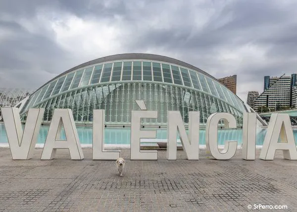 Feria de la solidaridad (animal) en Valencia el 18 de octubre con más de 65 entidades de protección animal