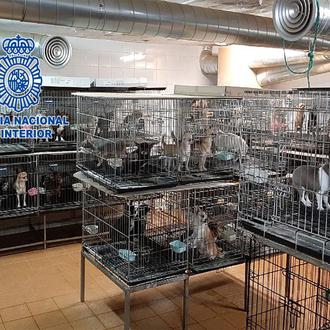 Tras dos años de espera, ANAA y FAPAM logran la …