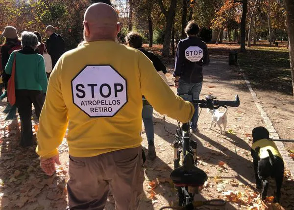 Una comitiva fúnebre va a recorrer El Retiro el sábado 6 de septiembre en homenaje a Wisper, el perro atropellado