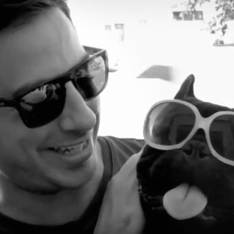 La vida es mejor cuando es compartida... con un perro …