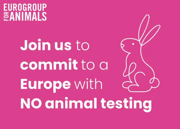 Denuncian la falta de implicación de la Comisión Europea para acabar con la experimentación animal