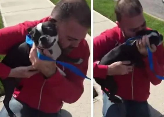 Reencuentros perrunos felices (y la importancia del chip y las chapas para canes)