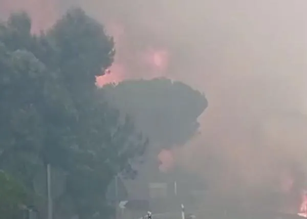La ayuda se moviliza en redes y grupos de whatsapp para animales afectados por los incendios de la Comunidad de Madrid