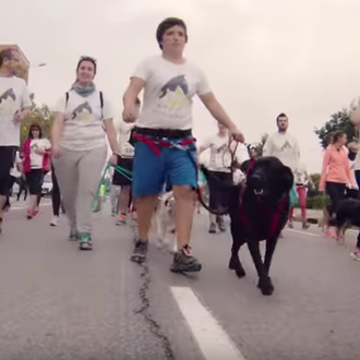 #CorreParaCambiarElMundo: una carrera muy especial, un plan GUAU en Valencia
