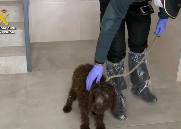 Extraditado de Venezuela a España por un delito de maltrato animal, por el caso del criadero de los horrores de Melgar