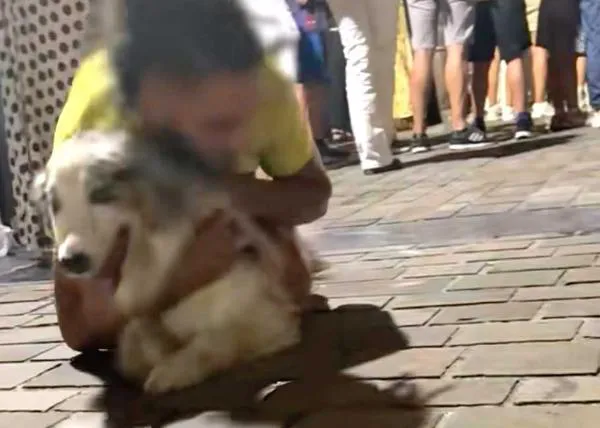 Las terribles imágenes de un hombre ignorando el pánico de su perro durante los fuegos artificiales en Donostia