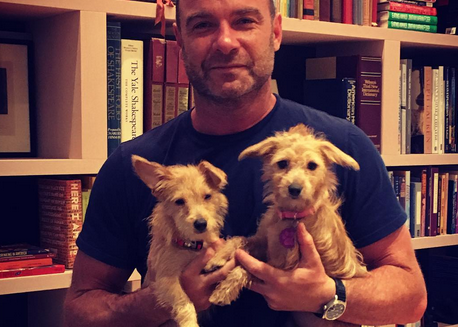 Liev Schreiber adopta a dos perros rescatados tras el Huracan Harvey