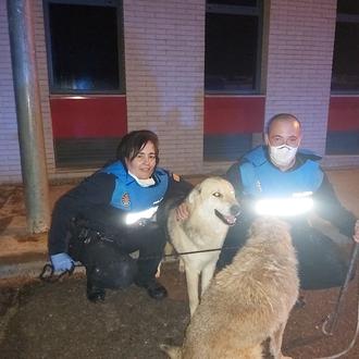 Un perro consigue que la policía rescate a su amigo …