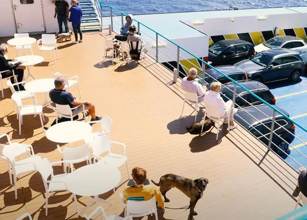 ¿Cómo es viajar con un perro grande en Ferry entre Canarias y Península? ¿Qué compañía es más recomendable?