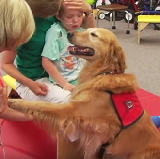 Un perro de terapia, la mejor medicina para un niño …