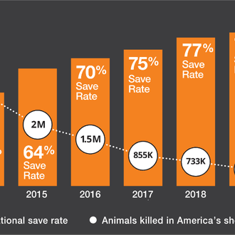 Estado de la Nación en EEUU, versión animal: 625.400 …