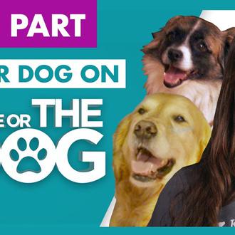 ¿Quieres que Victoria Stilwell te de consejos sobre algún comportamiento …