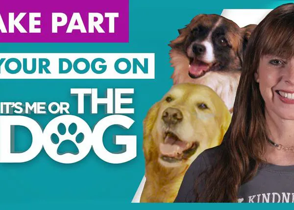¿Quieres que Victoria Stilwell te de consejos sobre algún comportamiento raruno o no deseado de tu perro?