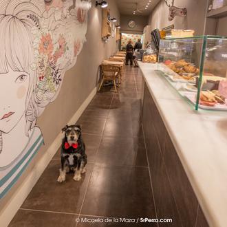 Café (o Té) con pasta: 15 propuestas para una merienda …