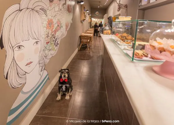 Café (o Té) con pasta: 15 propuestas para una merienda con perro en Barcelona