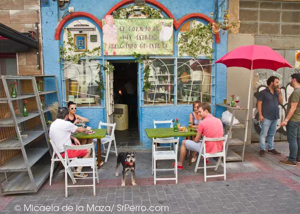 ¿Puedes ir de tapas con tu perro en Valladolid? Sí