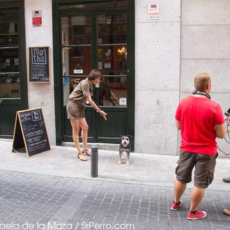 SrPerro en Escenario Madrid: Colega, hecho un artista