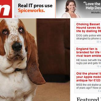 El Basset Hound torpe más listo del mundo 