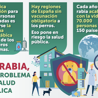 Día Mundial contra la rabia: los veterinarios españoles reivindican la …