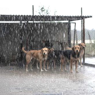 Ante la alerta por lluvias torrenciales en Valencia, Tarragona y …
