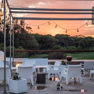 Paradores abre (un poquito) sus puertas a lo los perros …