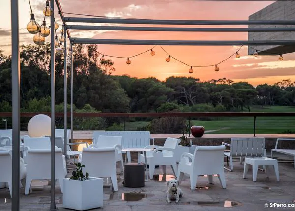 Paradores abre (un poquito) sus puertas a lo los perros: 31 Paradores son ya dog friendly
