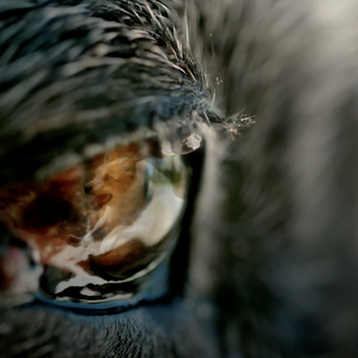 Paseando o a toda velocidad: bello homenaje a las personas …