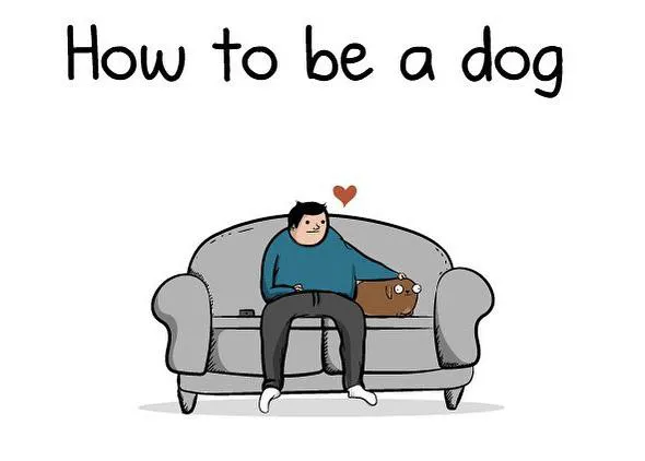 Lección básica sobre el vínculo entre personas y perros (especial para humanos hipocondríacos)