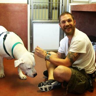 Los amores perros de Tom Hardy