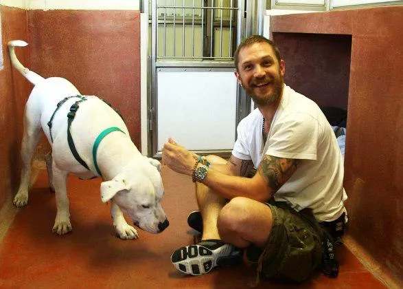 Los amores perros de Tom Hardy