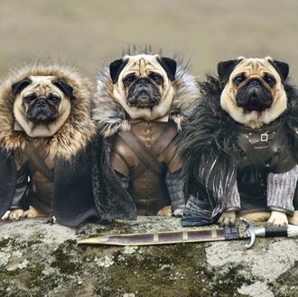 Se acerca el invierno... para los Carlinos de Westeros: versión …