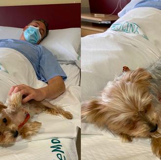 Los pacientes en Ribera Hospital de Molina pueden recibir la …