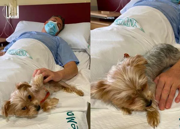 Los pacientes en Ribera Hospital de Molina pueden recibir la visita de sus animales de compañía