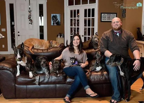 Personas que cambian el mundo poco a poco, perro a perro: The Mr. Mo Project