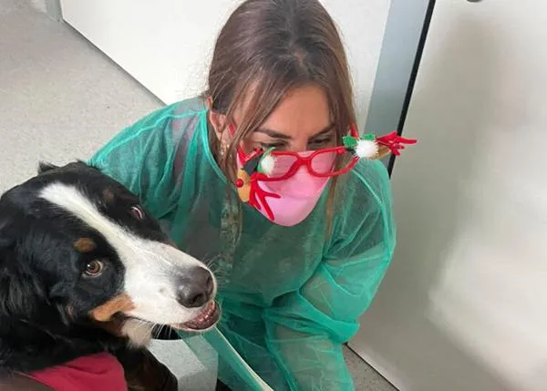 Los perros de Dogtor Animal llevan sonrisas y cariño por Navidad a los niños en el Hospital 12 de Octubre